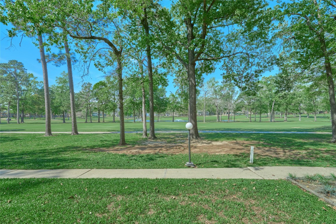 a view of a park with a tree