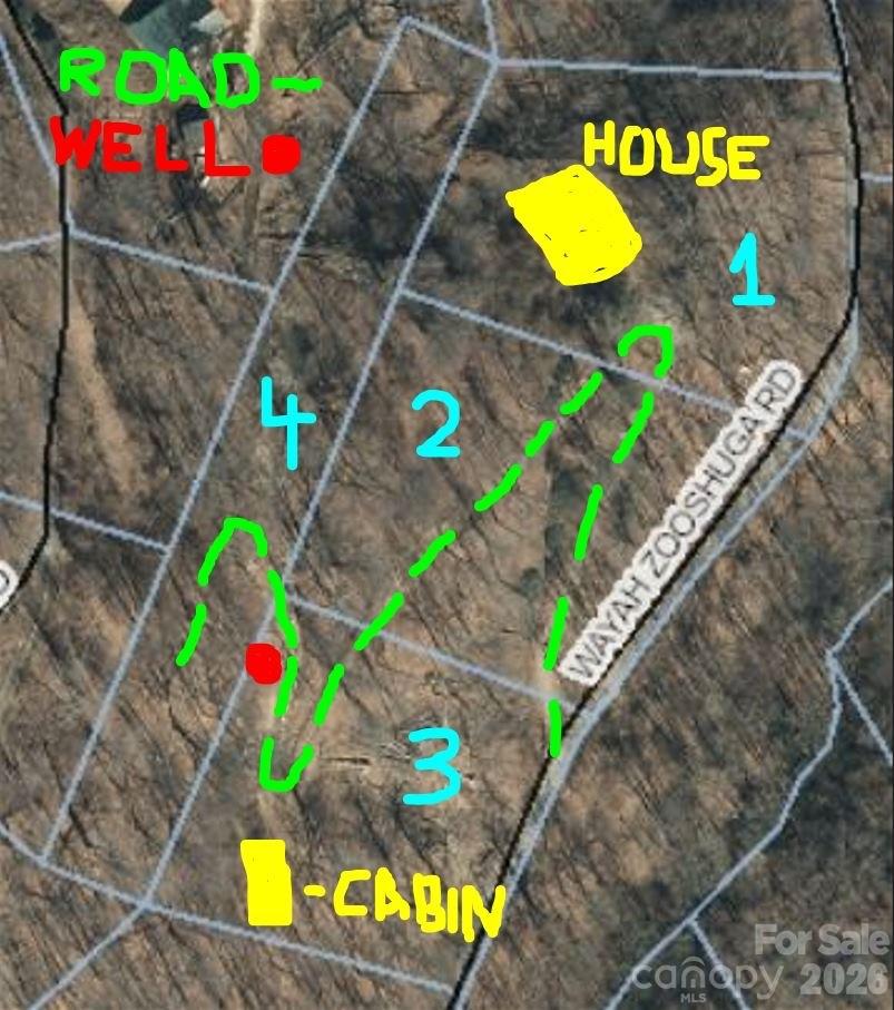 0 Wayah Zooshuga Road Maggie Valley, NC 28751 - Photo 13 of 13