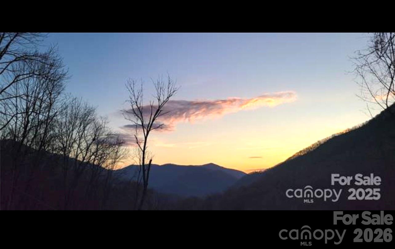 0 Wayah Zooshuga Road Maggie Valley, NC 28751 - Photo 3 of 13