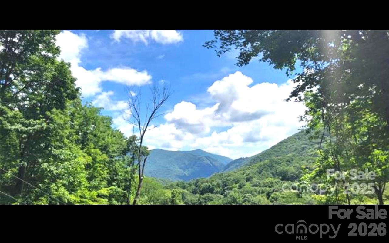 0 Wayah Zooshuga Road Maggie Valley, NC 28751 - Photo 4 of 13