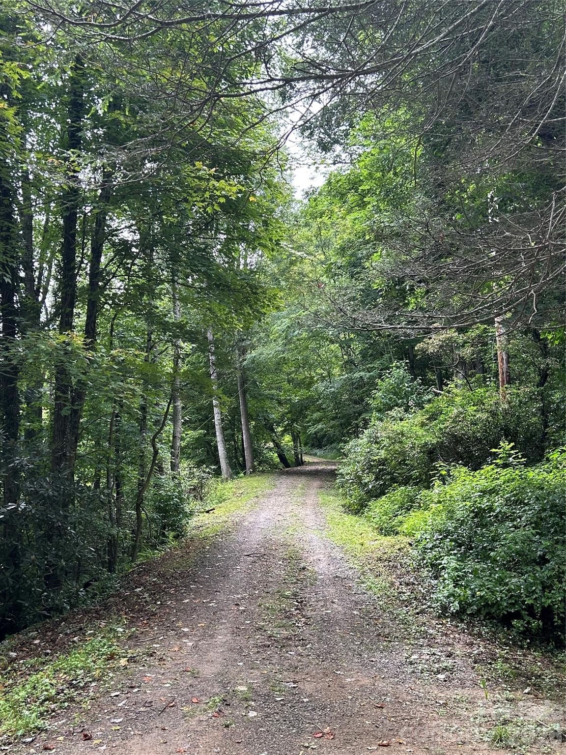 0 Wayah Zooshuga Road Maggie Valley, NC 28751 - Photo 5 of 13