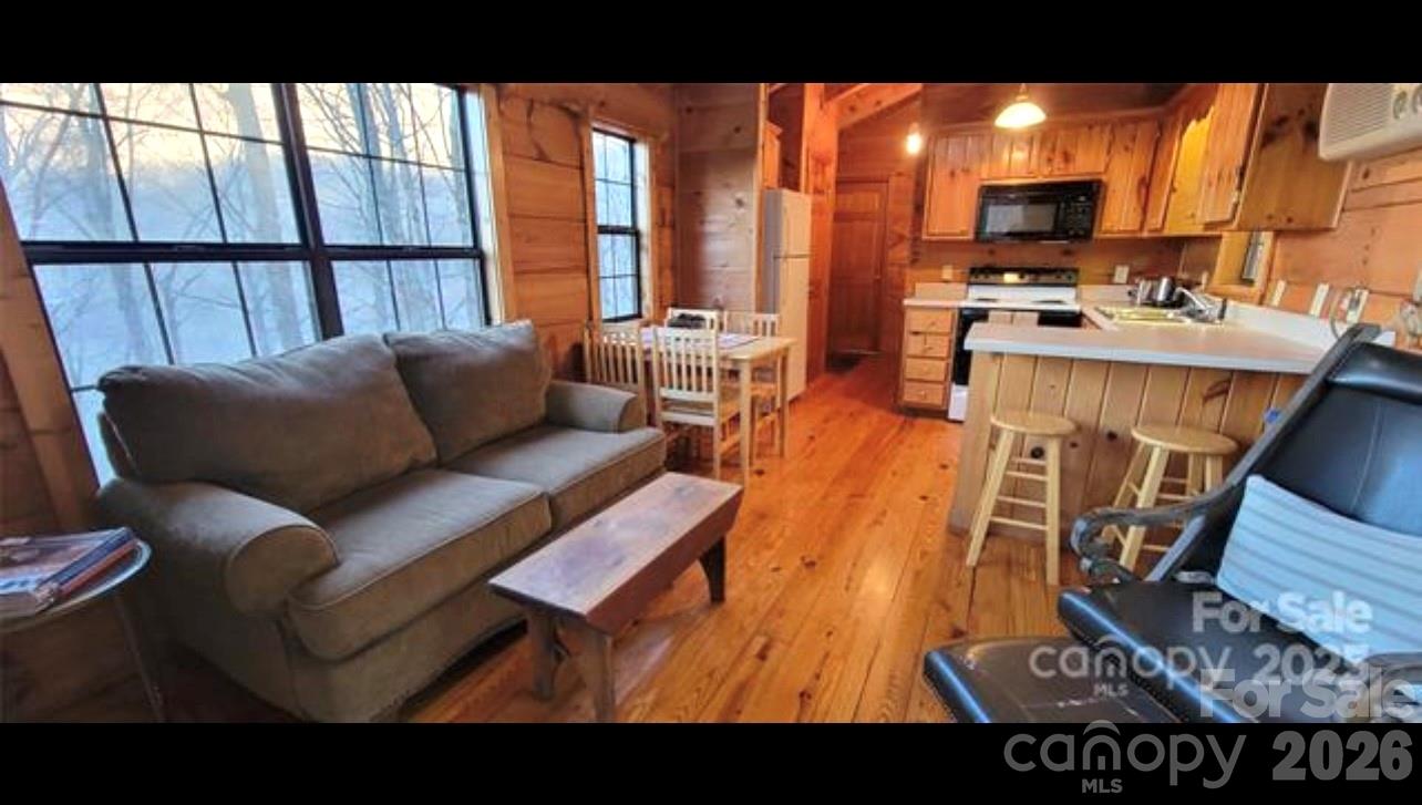 0 Wayah Zooshuga Road Maggie Valley, NC 28751 - Photo 8 of 13