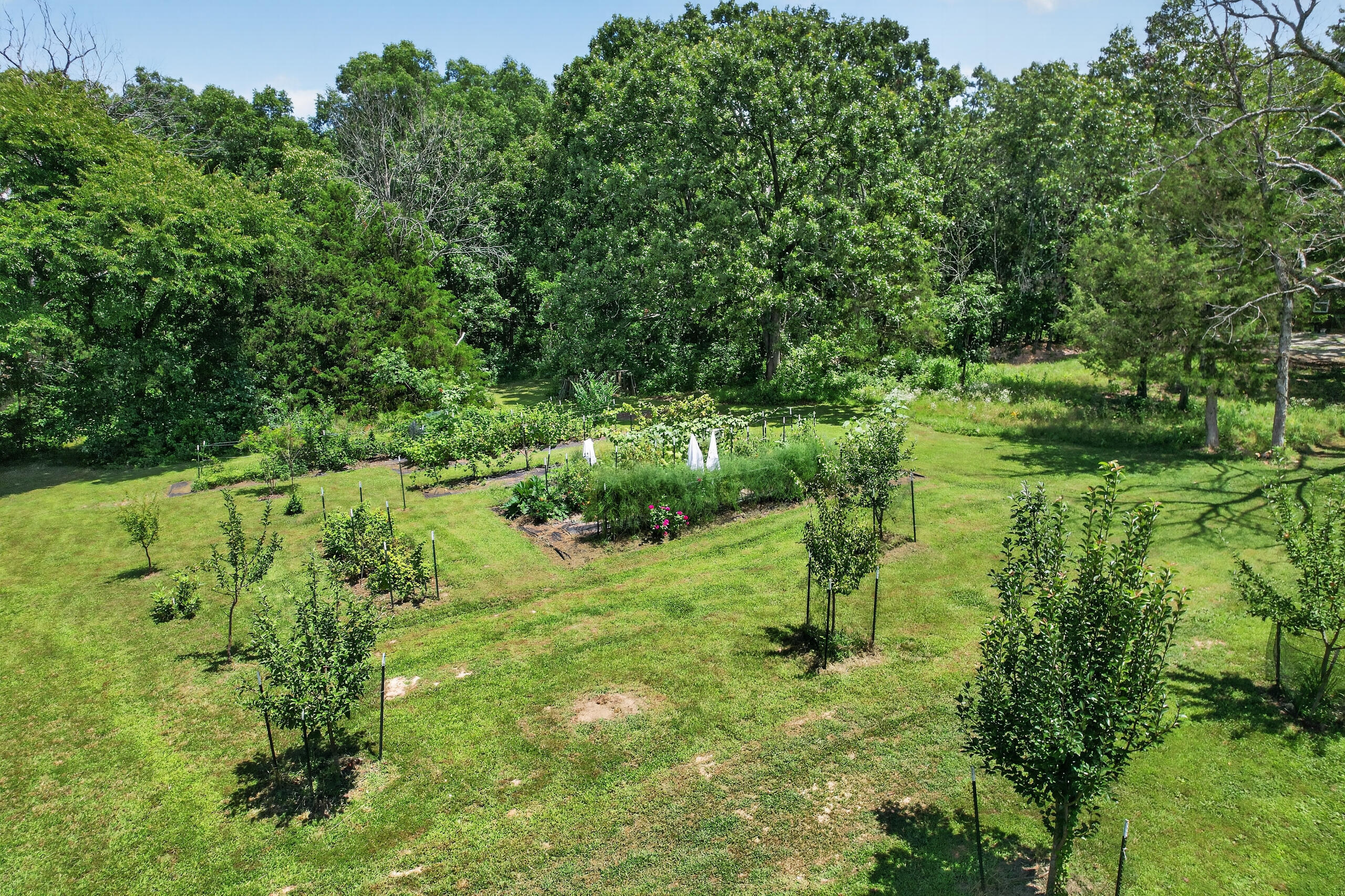 411 Moon Valley Road Lebanon, MO 65536 - Photo 120 of 144 DJI_0251