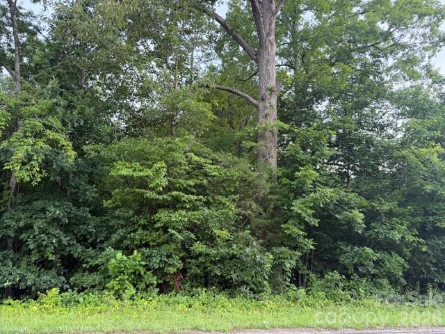 9999 Bill Collins Road Columbus, NC 28722 - Photo 15 of 17 a view of a lush green forest