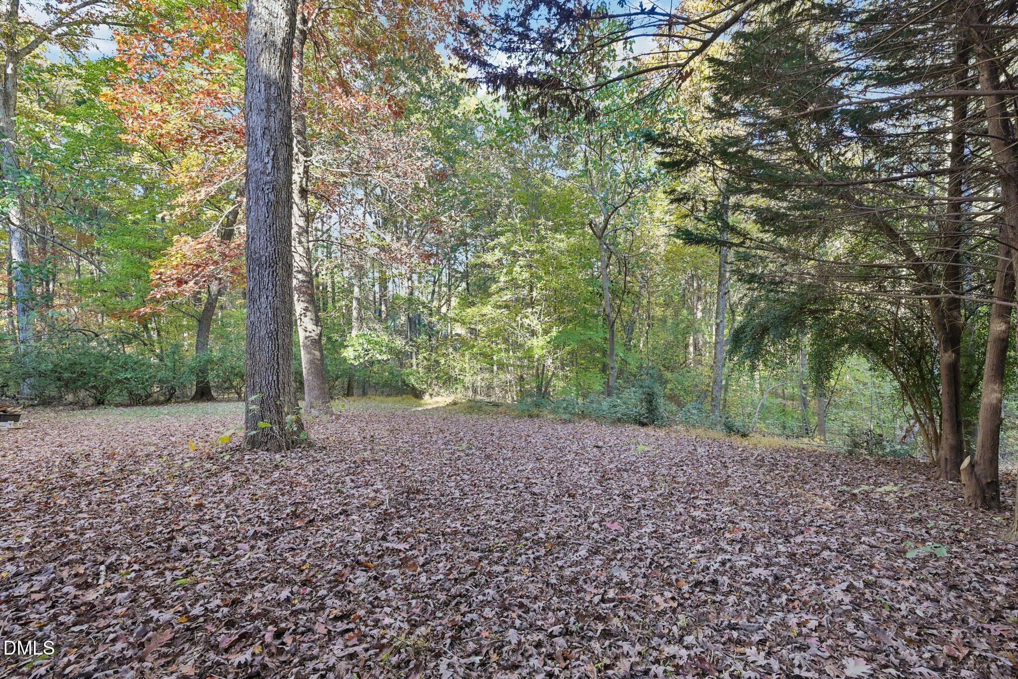 7628 Stony Hill Road Wake Forest, NC 27587 - Photo 33 of 33 a view of a yard with plants and trees