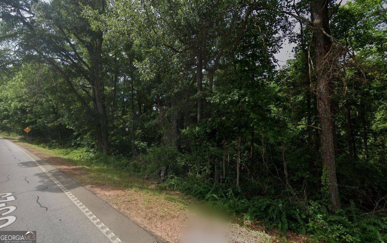 0 Highway 42 South Locust Grove, GA 30248 - Photo 3 of 11 a view of outdoor space and yard