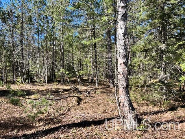 61 Little Rice Lk Road Lake Linden, MI 49945 - Photo 29 of 29