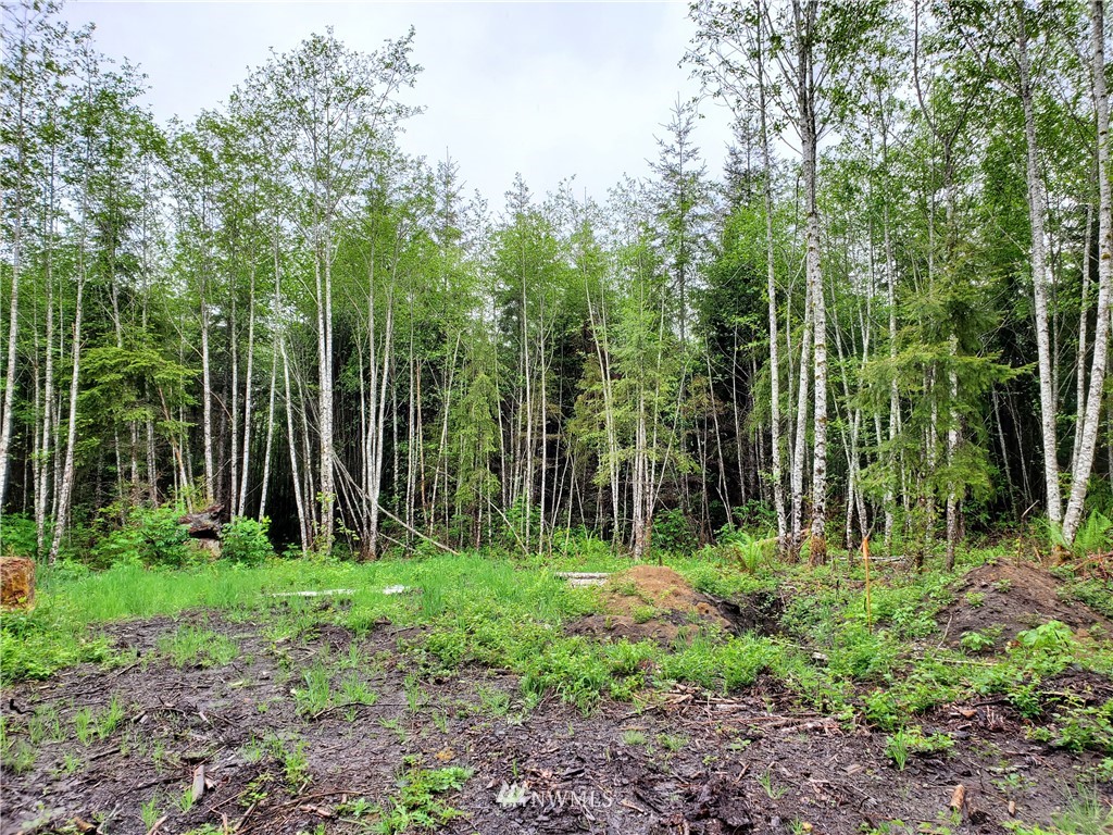 6090 Ridgeview Drive Aberdeen, WA 98520 - Photo 1 of 10 Gallery Image 1