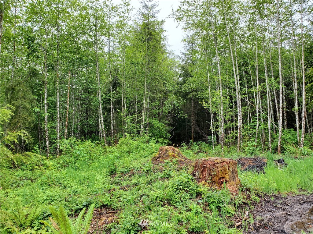 6090 Ridgeview Drive Aberdeen, WA 98520 - Photo 3 of 10 Gallery Image 3