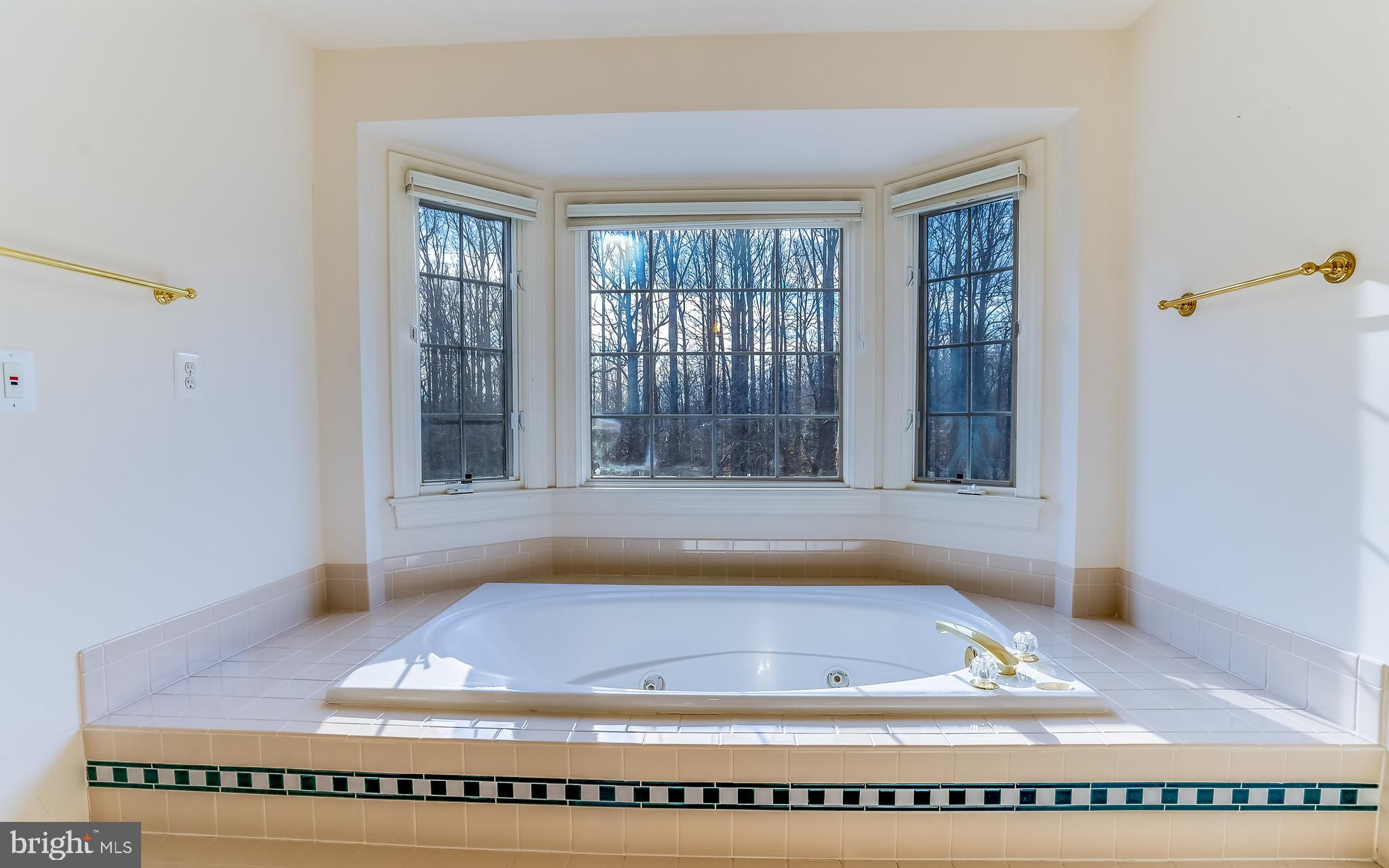 11801 Chapel Road Clifton, VA 20124 - Photo 29 of 57 Primary Bath, View 2