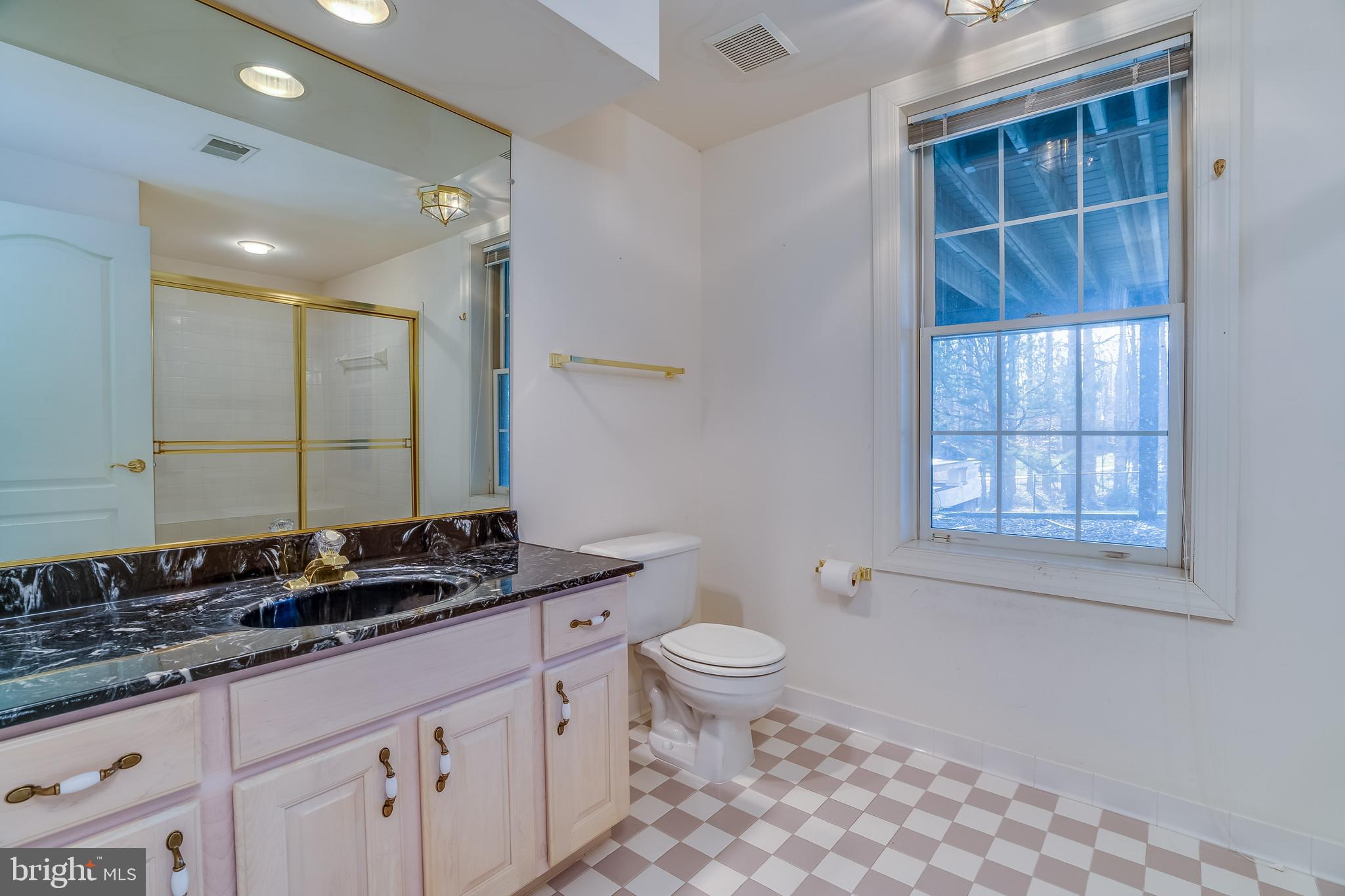 11801 Chapel Road Clifton, VA 20124 - Photo 41 of 57 Lower Level Full Bath