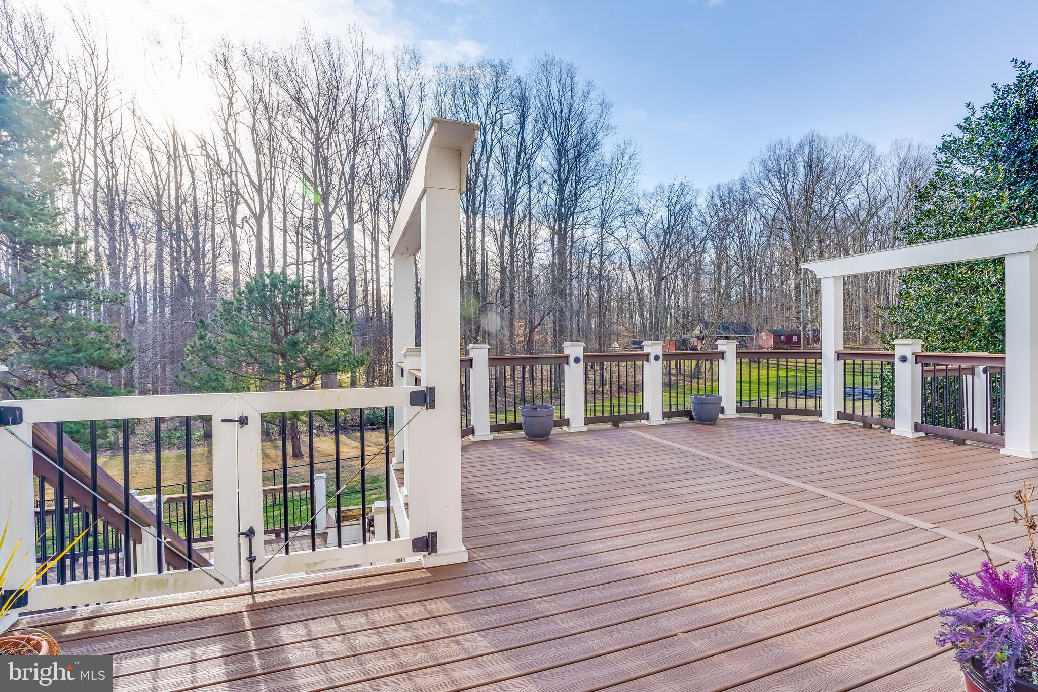 11801 Chapel Road Clifton, VA 20124 - Photo 43 of 57 Rear Deck, View 1