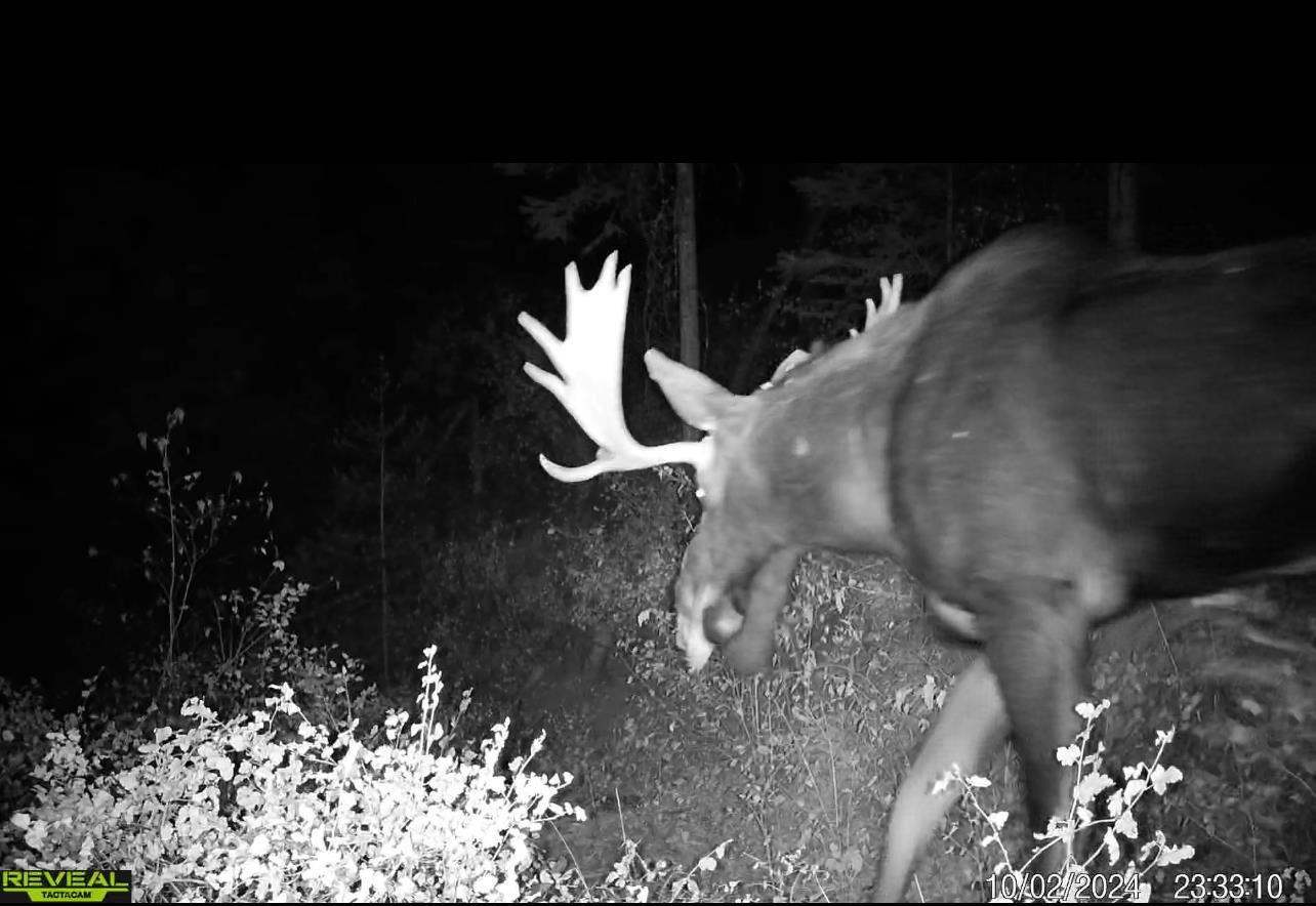 1733 Old CC Road Addy, WA 99101 - Photo 11 of 45