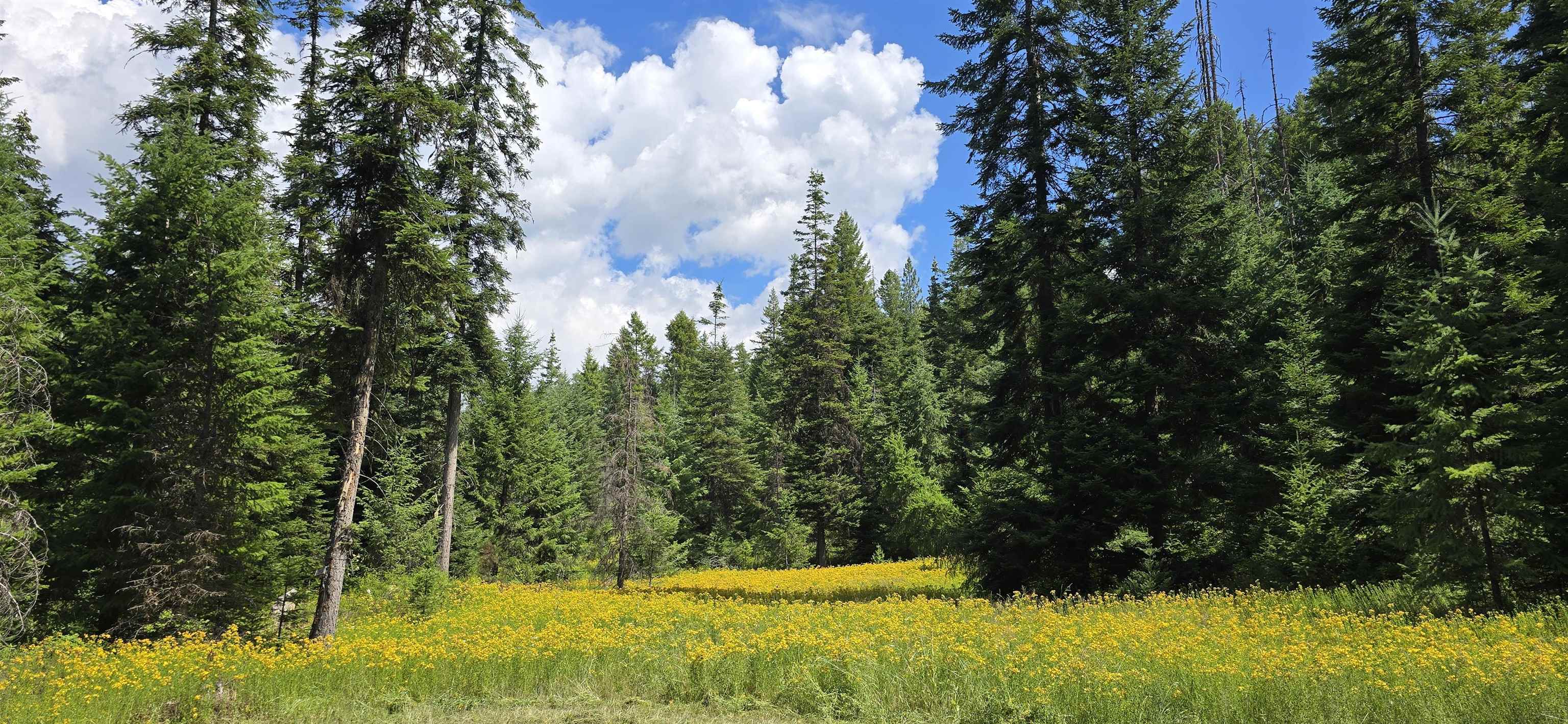 1733 Old Addy Road Addy, WA 99101 - Photo 17 of 45