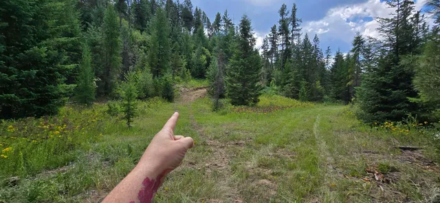 $230,000 | 1733 Old Addy Road, Addy, WA 99101