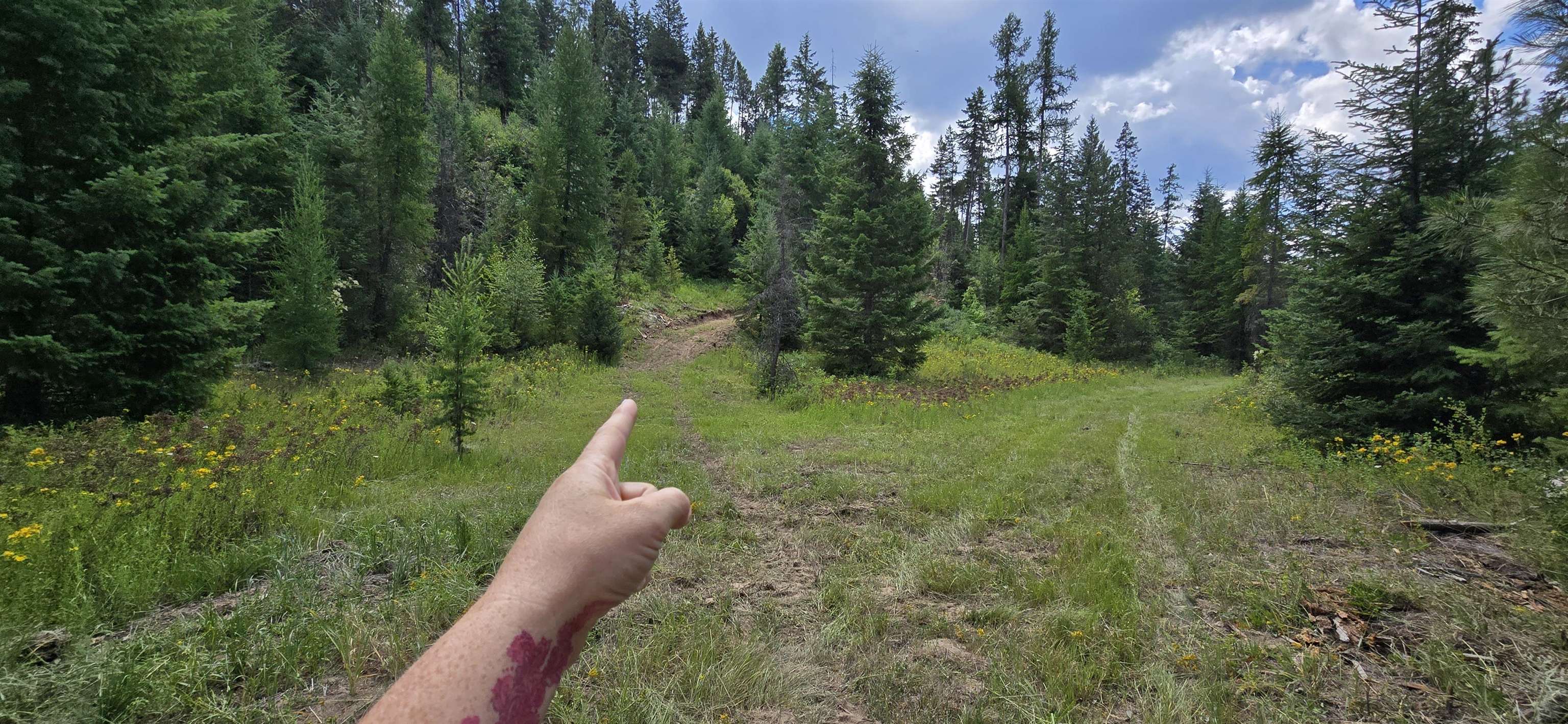 1733 Old Addy Road Addy, WA 99101 - Photo 18 of 45