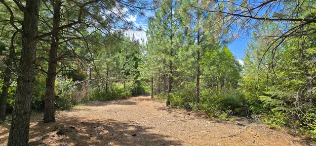 $230,000 | 1733 Old Addy Road, Addy, WA 99101