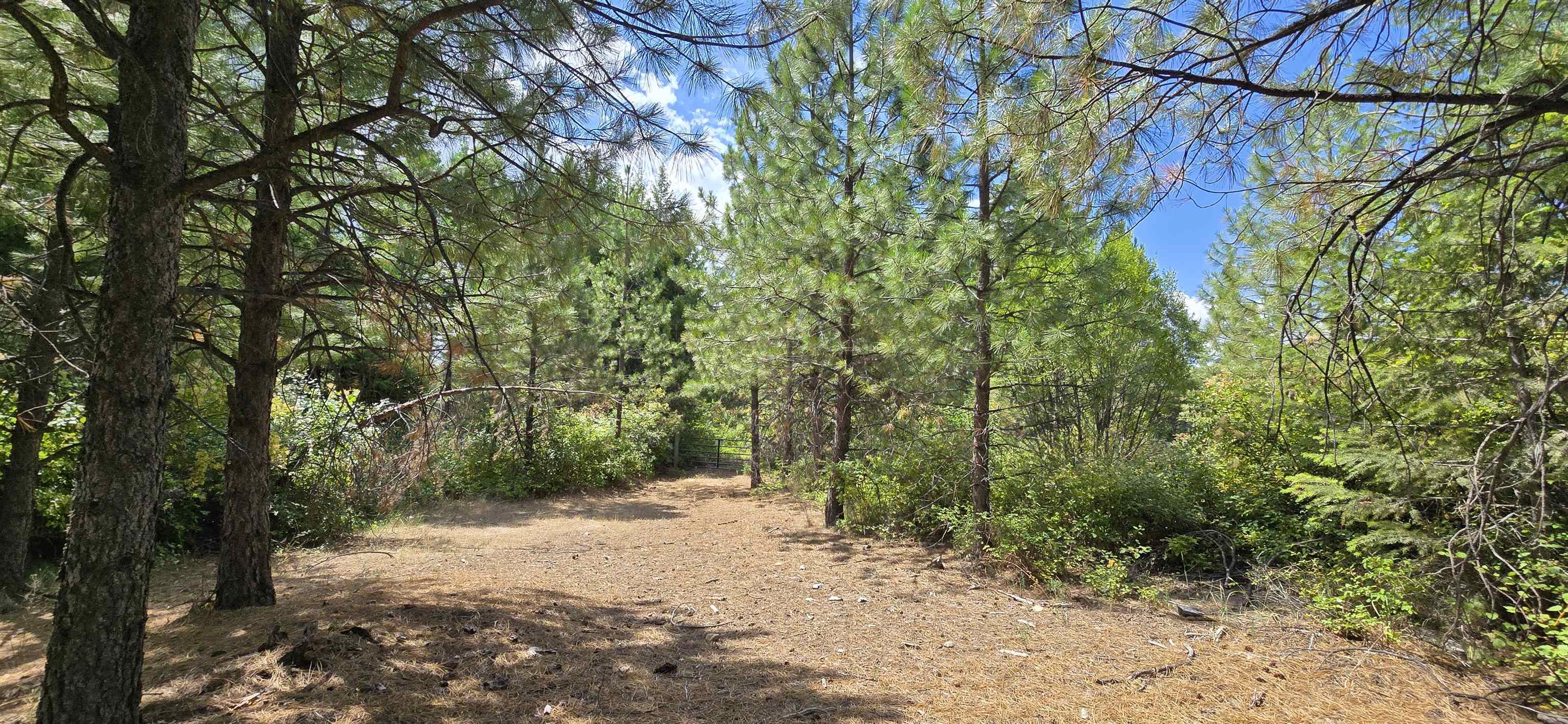 1733 Old Addy Road Addy, WA 99101 - Photo 19 of 45