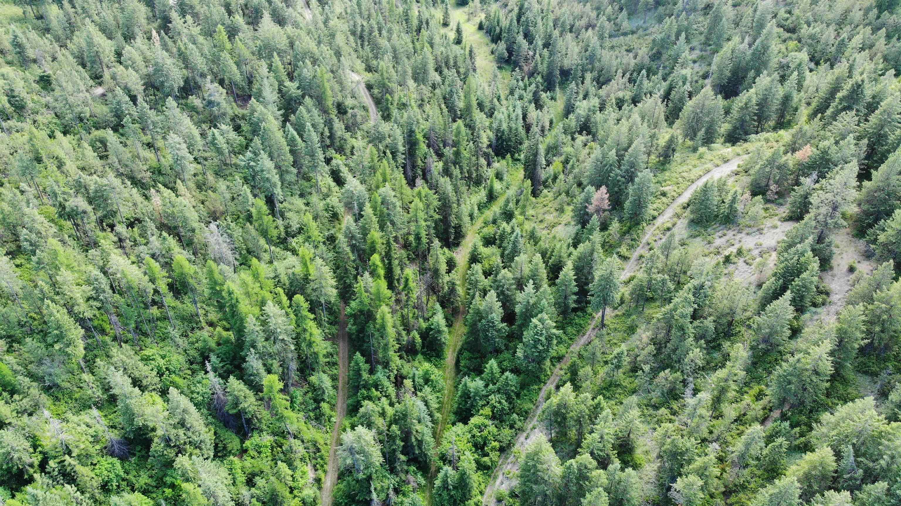 1733 Old Addy Road Addy, WA 99101 - Photo 20 of 45