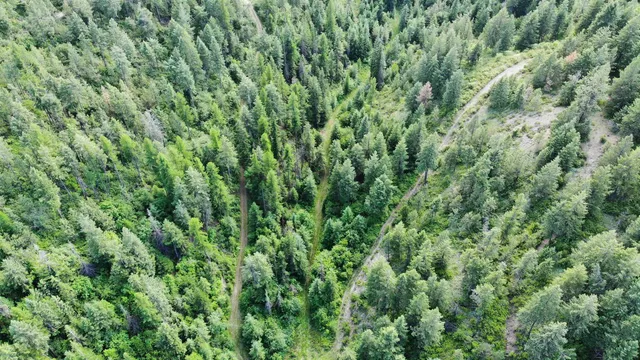 $230,000 | 1733 Old Addy Road, Addy, WA 99101