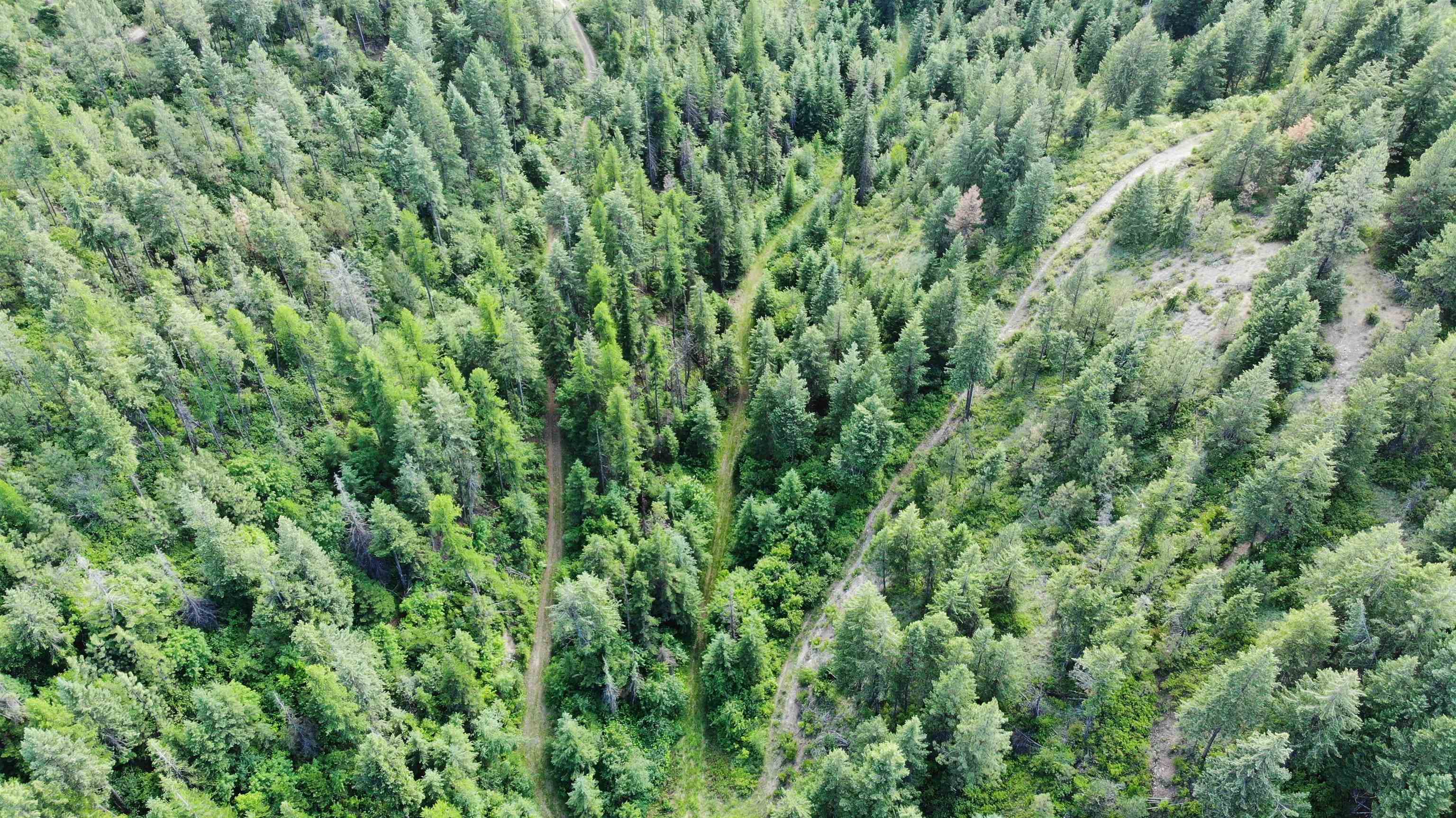 1733 Old Addy Road Addy, WA 99101 - Photo 21 of 45