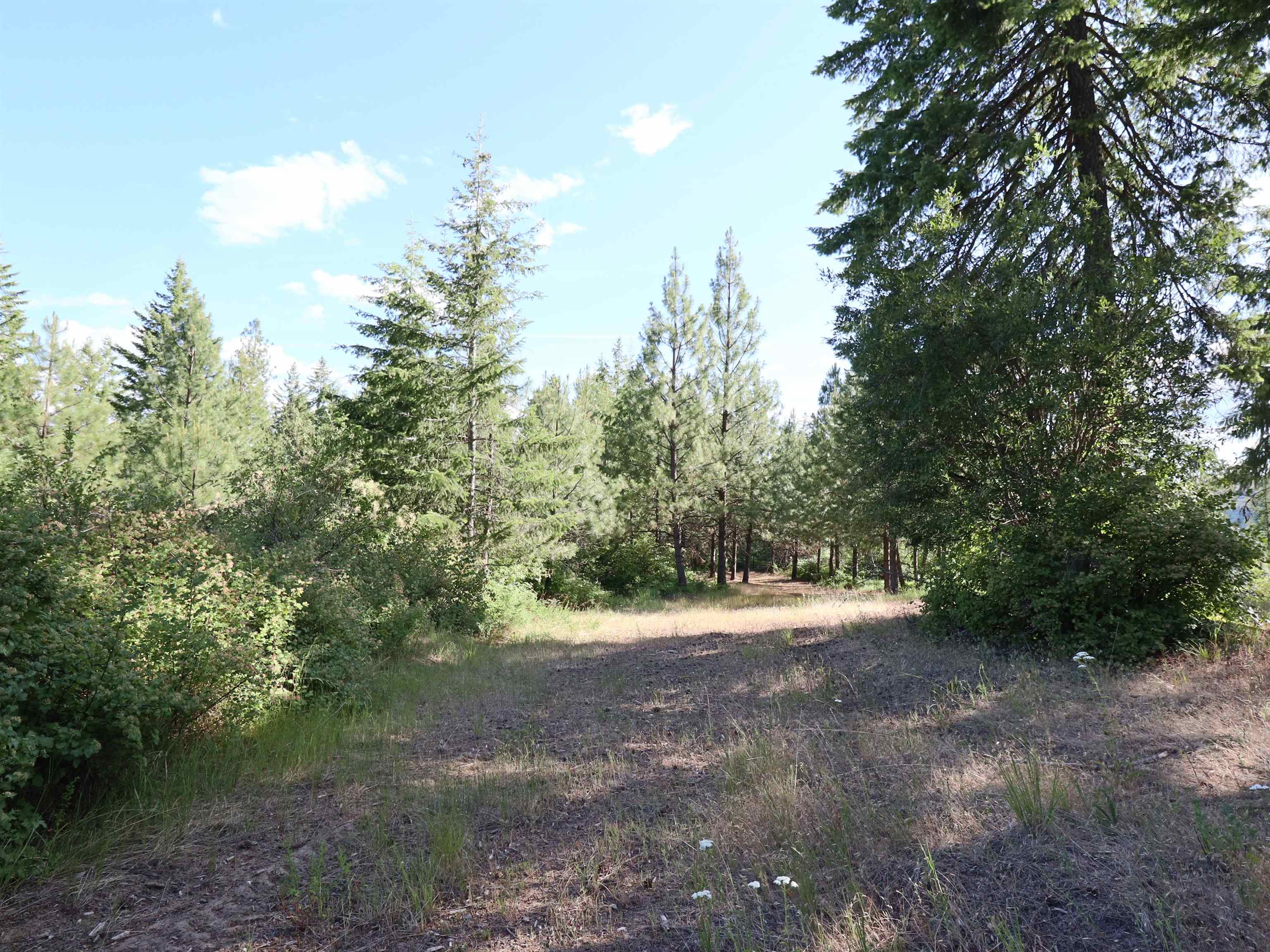 1733 Old Addy Road Addy, WA 99101 - Photo 25 of 45