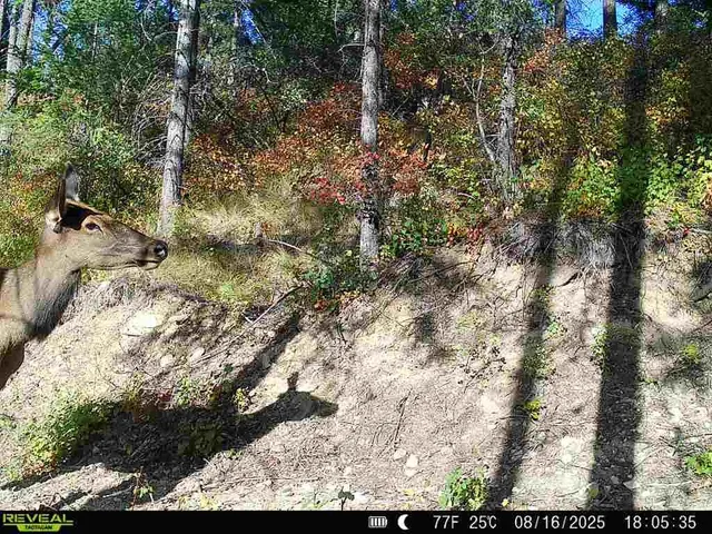 $230,000 | 1733 Old Addy Road, Addy, WA 99101