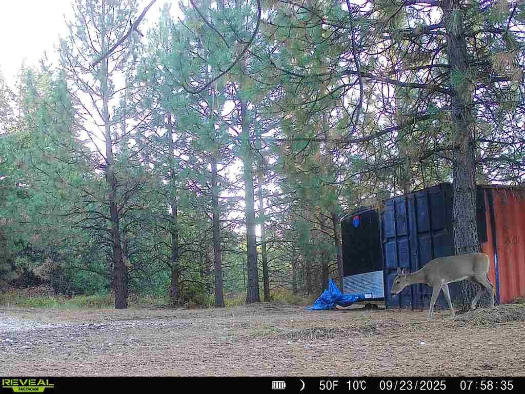1733 Old Addy Road Addy, WA 99101 - Photo 27 of 45
