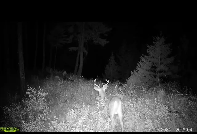 $230,000 | 1733 Old Addy Road, Addy, WA 99101