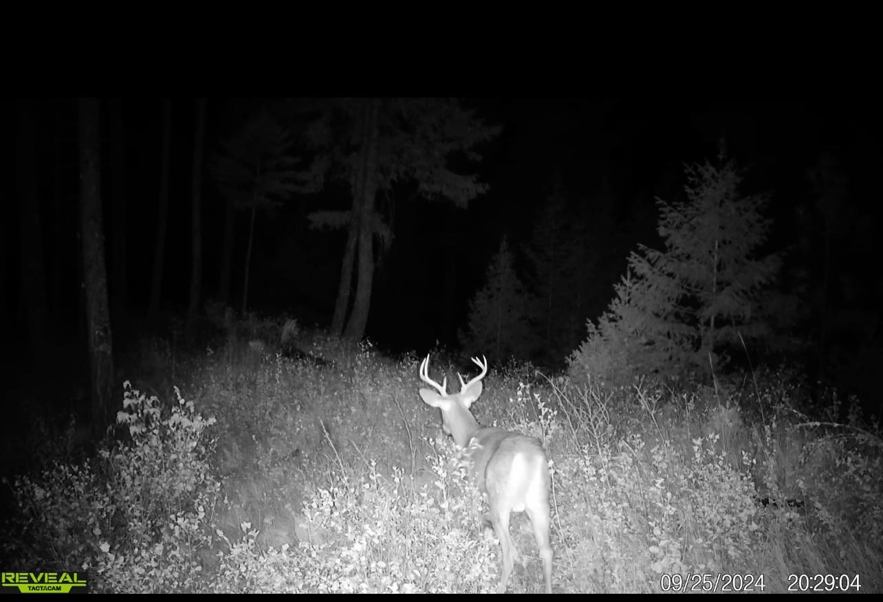 1733 Old Addy Road Addy, WA 99101 - Photo 28 of 45