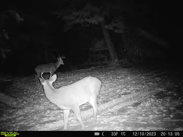 $230,000 | 1733 Old Addy Road, Addy, WA 99101