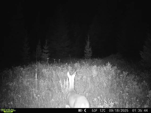 $230,000 | 1733 Old Addy Road, Addy, WA 99101