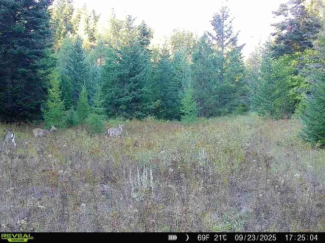 $230,000 | 1733 Old Addy Road, Addy, WA 99101