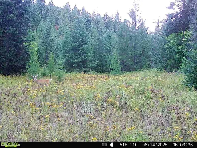 $230,000 | 1733 Old Addy Road, Addy, WA 99101