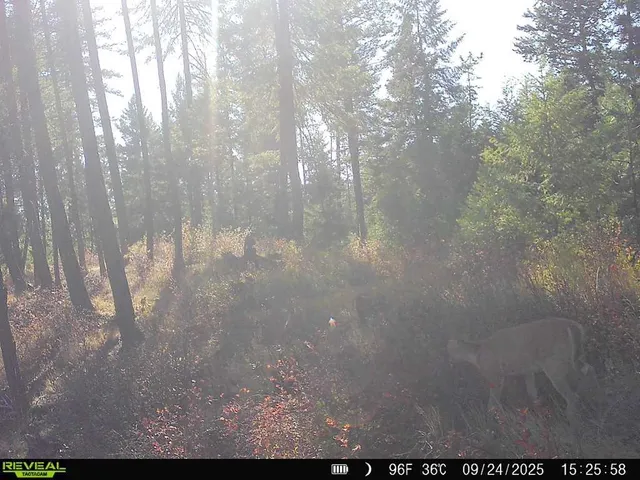 $230,000 | 1733 Old Addy Road, Addy, WA 99101