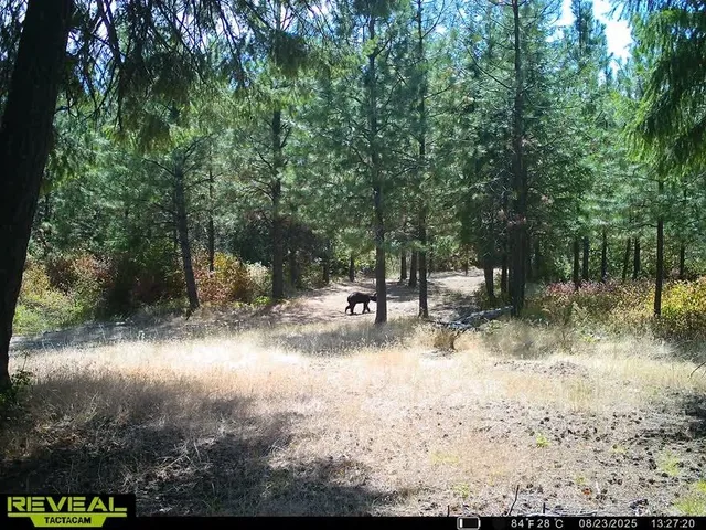 $230,000 | 1733 Old Addy Road, Addy, WA 99101