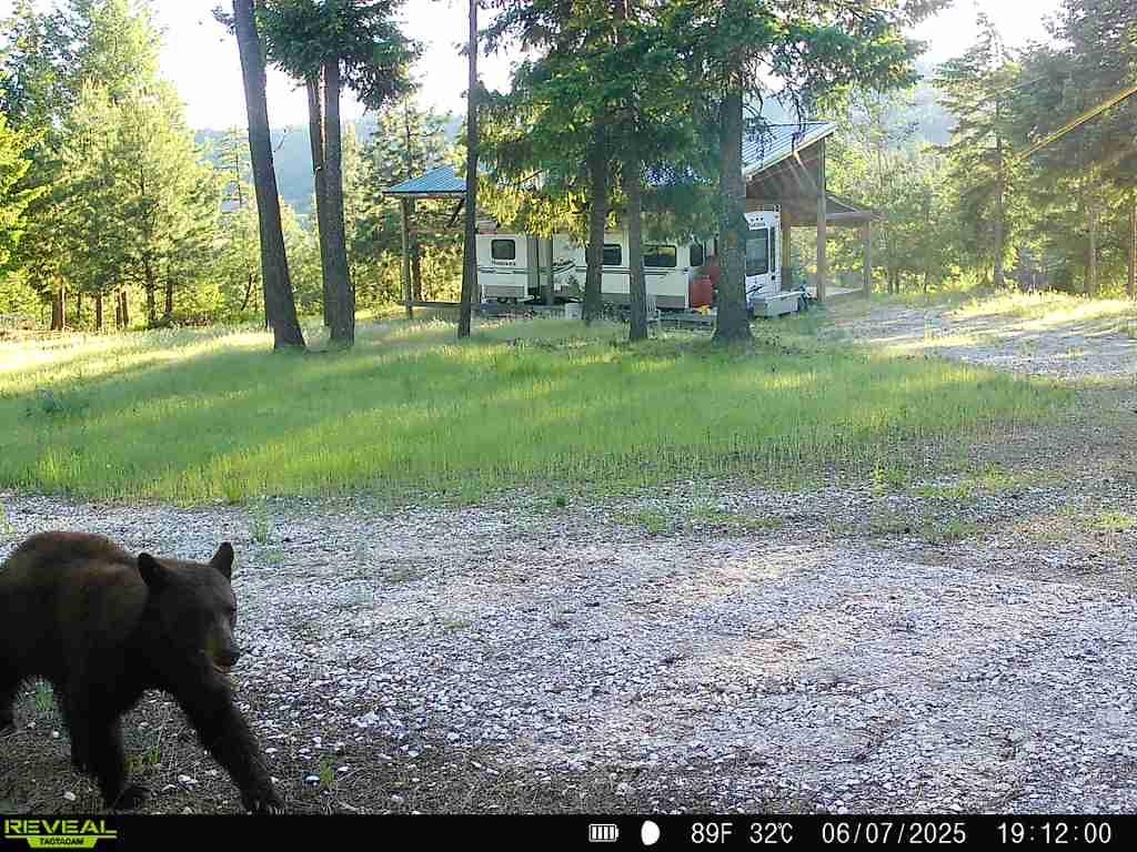 1733 Old Addy Road Addy, WA 99101 - Photo 37 of 45