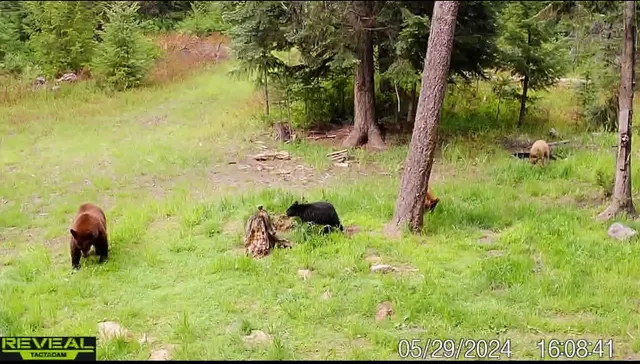 $230,000 | 1733 Old Addy Road, Addy, WA 99101