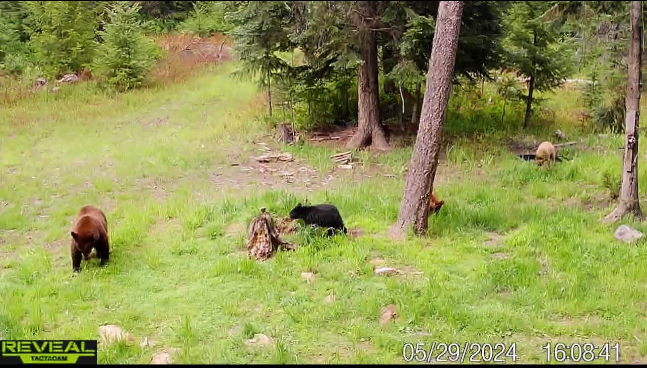 1733 Old Addy Road Addy, WA 99101 - Photo 39 of 45