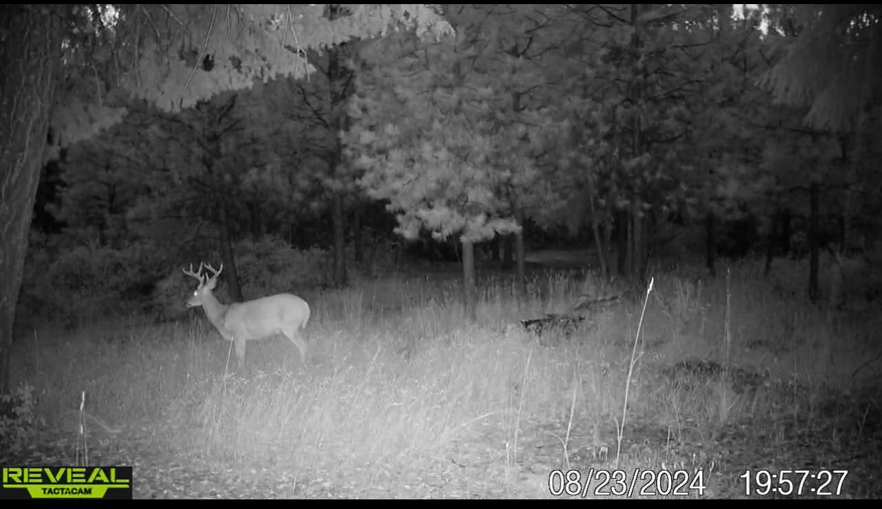 1733 Old Addy Road Addy, WA 99101 - Photo 40 of 45