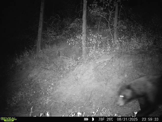 1733 Old Addy Road Addy, WA 99101 - Photo 4 of 45