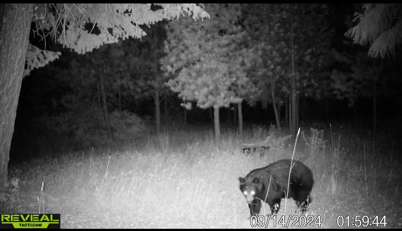 1733 Old Addy Road Addy, WA 99101 - Photo 41 of 45