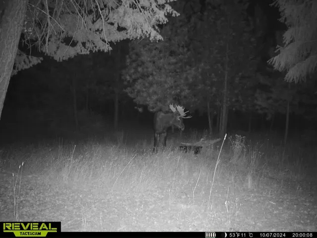 $230,000 | 1733 Old Addy Road, Addy, WA 99101