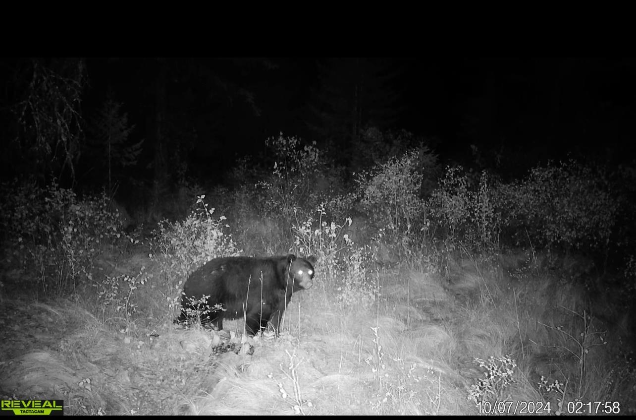 1733 Old Addy Road Addy, WA 99101 - Photo 43 of 45