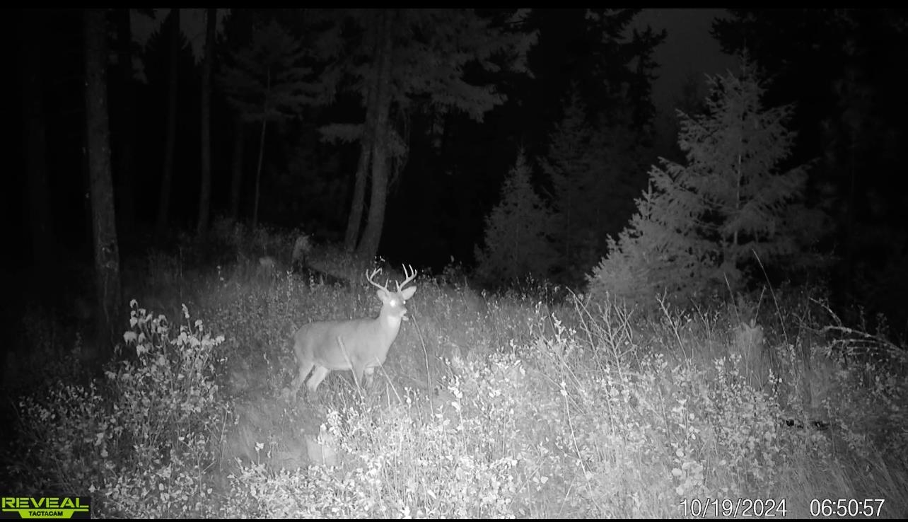 1733 Old Addy Road Addy, WA 99101 - Photo 44 of 45