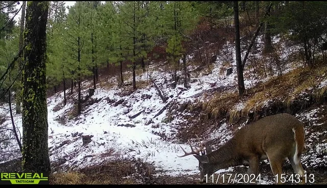 $230,000 | 1733 Old Addy Road, Addy, WA 99101