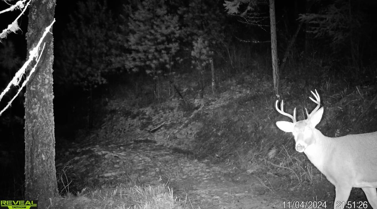 1733 Old CC Road Addy, WA 99101 - Photo 6 of 45