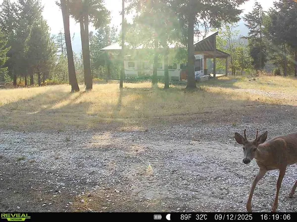 $230,000 | 1733 Old Addy Road, Addy, WA 99101