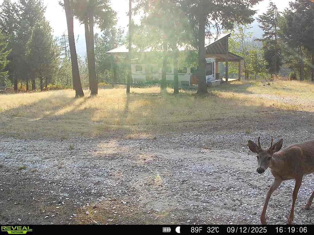 1733 Old Addy Road Addy, WA 99101 - Photo 6 of 45