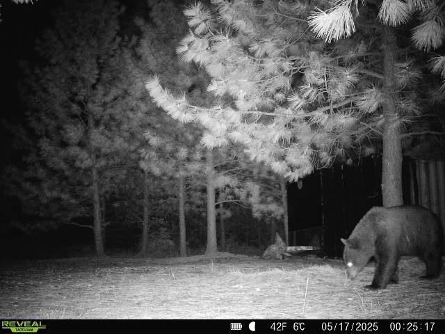 1733 Old Addy Road Addy, WA 99101 - Photo 7 of 45